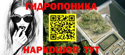 ПСИЛОЦИБИНОВЫЕ ГРИБЫ Свободный
