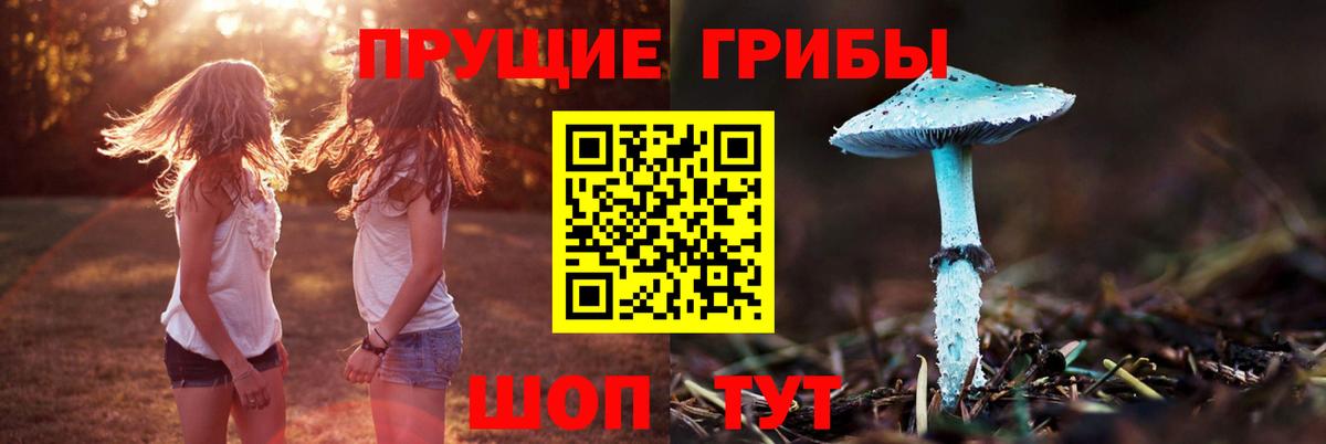 Галлюциногенные грибы мицелий  Вход с VPN  Псилоцибиновые грибы MAGIC MUSHROOMS  Орёл 